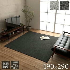 O ` 190×290cm  [vpC g[ zbgJ[ybgΉ   RۖhL I[o[bN ɂH O[ ubN 4 IK-CRD190290