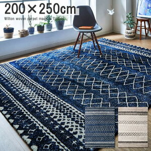 �E�B���g�� �J�[�y�b�g ��200×250cm �����` �􉽕� �R�ۖh�L ������� ��v �{�����[�� �z�b�g�J�[�y�b�g�Ή� ���g�[�Ή� �l�C�r�[ �A�C�{���[ IK-EDA200250
