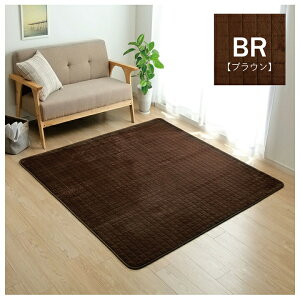 y5w\ŒgzO ɂ ۉ ~M fM A~ n uE 200×240cm zbgJ[ybgΉ g[Ή ` J[ybg }bg O~ ~zc ₦y ~M ~