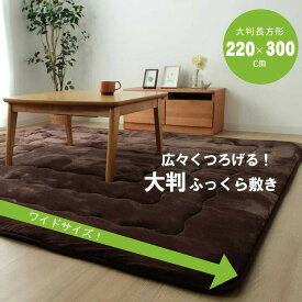 【クッション性◎】ラグ こたつ敷き布団 正方形 幅広ラグ ブラウン 約220×300cm カーペット マット 絨毯 こたつ敷布団 防音 騒音防止 保温 フローリング インテリア 秋 冬 新生活 衣替え 5996959 IK5996959