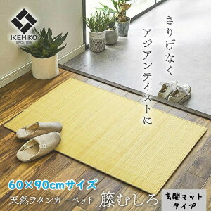 AWAeCXg  փ}bg 60×90cm TXeiu VR^ قނ ďv ɂ fp AWAX^C Ђ @\ ~ ɂ nhCh   