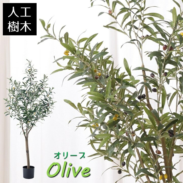 楽天市場 人工観葉植物 オリーブ フェイクグリーン 人工樹木 リアル オリーブの木 Olive インテリア 緑 店舗装飾 飾り カフェ おしゃれ 大型 存在感 目立つ 造花 作り物 造木 人口木 大きい まるで本物 自然な質感 オブジェ お洒落 Azgrn 17 ミラクル ガーマ 楽天市場 人工観葉植物 オリーブ フェイクグリーン 人工樹木 リアル オリーブの木 Olive インテリア 緑 店舗装飾 飾り カフェ おしゃれ 大型 存在感 目立つ 造花 作り物 造木 人口木 大きい まるで本物 自然な質感 オブジェ お洒落 Azgrn 17 ミラクル ガーマ