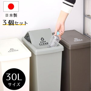 3Zbg XCh S~ 30L { ӂt 30bg LX^[t bN@\ X XChy[ Vv 24cm _Xg{bNX ݔ WXCh nhJ LX^