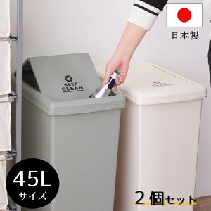2個セット スライド式 ゴミ箱 45L 日本製 ふた付き 45リットル キャスター付き ロック機能 スリム スライドペール シンプル 幅24cm ダストボックス ごみ箱 蓋スライド ワンハンド開閉 キャスタ
