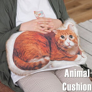 A ˂^ NbV ӂӂ L LeB kitty qL  V[gwA[ L 킢  ӂӂ LG lR^NbV lR` ʂ g LD LObY C