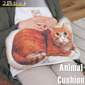 y2Zbgz A ˂^ NbV ӂӂ L LeB kitty qL  V[gwA[ L 킢  ӂӂ LG lR^NbV lR` ʂ g LD 