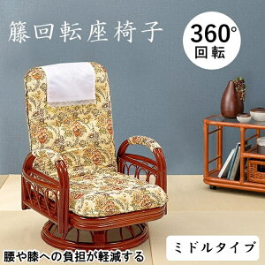 hV̓ Mtg NCjO ]֎q ~h^Cv T|[g֎q  3iKNCjO 360°] Sy   ^ `FA hV̓ 蕨 c c tBbg 