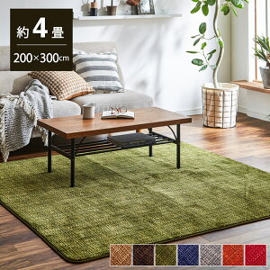 7FWJ Vv J[ybg O ` 200×300cm TS}C[ 炩 G ɂ I[V[Y ~zc R^c zbgJ[ybgΉ X  g[Ή 킹₷