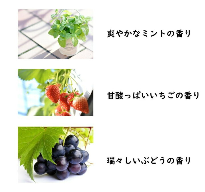 楽天市場 送料無料 マスク爽やか フレーバーボム ミント ぶどう いちご 鼻詰まり 鼻水 抑制 わさびチオヘキシル 抗菌 消臭 臭い 対策 マスク ムレ 蒸れ 軽減 夏マスク リラックス効果 一日中 快適 雑菌の繁殖抑制 フレーバーボム Flavorbomb ミラクル ガーマ