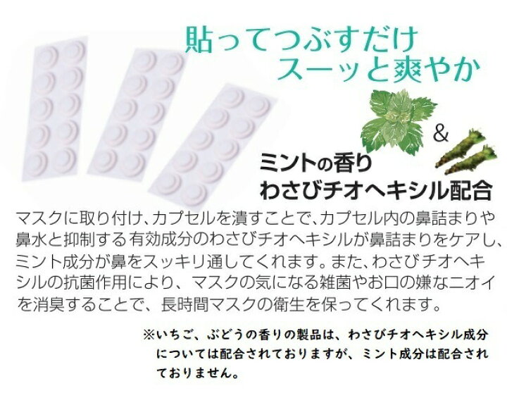 楽天市場 送料無料 マスク爽やか フレーバーボム ミント ぶどう いちご 鼻詰まり 鼻水 抑制 わさびチオヘキシル 抗菌 消臭 臭い 対策 マスク ムレ 蒸れ 軽減 夏マスク リラックス効果 一日中 快適 雑菌の繁殖抑制 フレーバーボム Flavorbomb ミラクル ガーマ