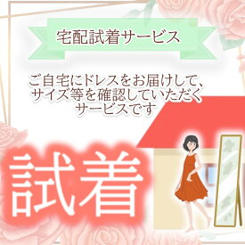 【レンタルドレスの試着】 自宅で試着 お好きなドレスの試着ができる！ 【マザーズドレス試着 叔母様ドレス試着 祖母様ドレス試着 演奏会発表会ドレス】
