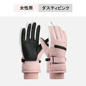 yʌ聚2_50%OFFz݌Ɍ [XL[O[u X}zΉ ~  ۉ ۉ ɊΉ g Xm[O[u ~ h h XL[ fB[X Y  Xm{O[