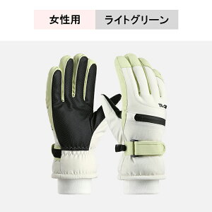 yX[p[Z[50off 撅300lzXL[O[u X}zΉ ~  ۉ ۉ ɊΉ g Xm[O[u ~ h h XL[ fB[X Y  Xm{O