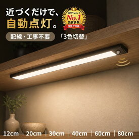 【感謝企画★33％OFFクーポン】即納【楽天1位★162冠達成】【2本セットお得】センサーライト 室内 人感 LEDライト 充電式 自動点灯 0.2秒反応 足元灯 間接照明 マグネット 簡単設置 工事不要 クローゼット 玄関 廊下 キッチン 薄型 おしゃれ 明るい USB充電 非常灯 夜間ライ