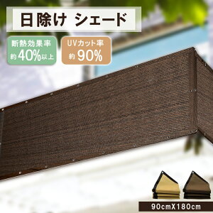 y MAX 40%OFFIڋʁz[悯 VF[h ʋC x_ TVF[h ډB I[jO VF[h x_ډBVF[h TVF[h oRj[  ^ 悯 XN[