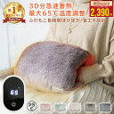 【クーポンでお得★MAX40%OFF】 1位連冠 蓄熱式湯たんぽ 充電式 コードレス カバー付き 急速蓄熱 30〜65℃温度調整 あ…