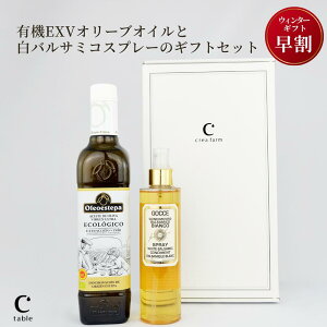 _I[uWp 2025 ܁^XyC I[KjbN GLXgo[WI[uIC GRqRƃzCgoT~R Xv[iMtg{bNXjL@ JASF  N Mt