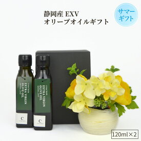 【お得なクーポン利用で500円OFF】静岡産 エキストラバージン オリーブオイル　120ml×2本 （ギフトBOX入）プレゼント 高級 詰め合わせ 静岡 お土産 エクストラバージン プレミアム 健康 国産 エクストラ 贅沢 コールドプレス 低温圧搾 オリーブ園 お中元 御中元 父の日