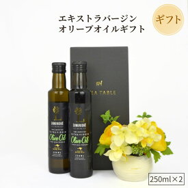 【先着限定 母の日10％OFFクーポン配布中】オリーブギフト EXVオリーブオイル ロングリッジ 250ml 2本（ギフトBOX入） オーストラリア エキストラバージン エクストラ 調味料 コールドプレス 高品質 高級 1L 健康 ミシュラン 新生活 母の日