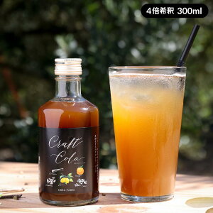 yX[p[SALE/ő1,000~OFFzNtgR[ Vbv 300ml 4{  t h {i  Y_ f XpCX Vi I N[u J_ Ӟ JtF  mAR[