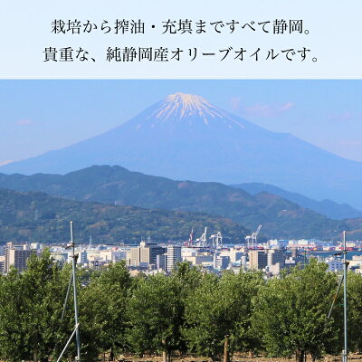 《新油入荷》静岡産オリーブオイル(2019)濾過タイプ50ml外箱付き母の日プレゼントエキストラバージンオリーブオイル国産高級ギフトエクストラバージン飲む日本産オリーブ油贈答手土産お土産クレアテーブルクレアファーム食彩の王国