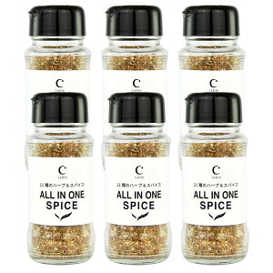 11̃n[uXpCX ALL IN ONE SPICE 110g XpCX AEghA Aq[W o[xL[ \   Xe[L   O BBQ Lv I[u [t 蕨 n[u\g Lb`