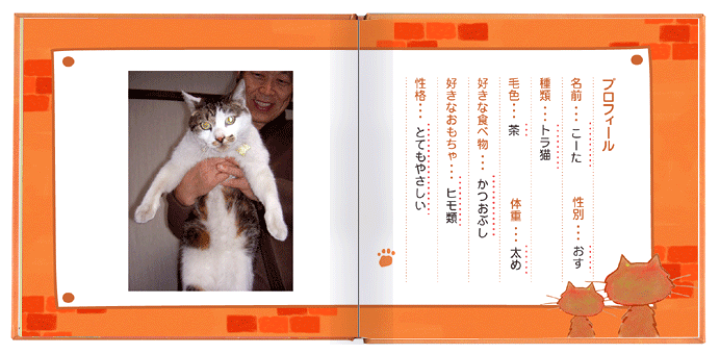 楽天市場 うちの看板猫 お仕立て券 我が家 ネコちゃん お仕立て券 写真 名前入り ネコ 猫 ペット絵本 かわいいしぐさ にゃんこの絵本 個性豊かな写真 大切なペットとの思い出 オリジナル絵本ショップ楽天市場店