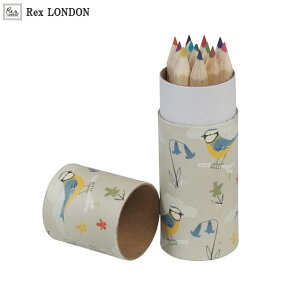 色鉛筆 12色 お絵描き デッサン 携帯 小型 こども 大人 おしゃれ イギリス ロンドン 青い小鳥 デザイン ナチュラル 可愛い 色鉛筆セット 持ち運びが便利 ギフト プレゼント 収納ケース付き 【