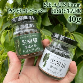 【順次再入荷予定】カンボジア産塩漬け生胡椒 40グラム 約500粒 大阪・関西万博でも大人気！ カンポットペッパー 協会認証済み オーガニック プロ仕様 S.E.A.T.SFarm 生胡椒 生胡椒の塩漬け