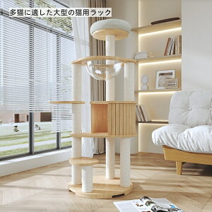 [^L ̔L]^Lbg^[ 7KăbN݌v L傫 ۑObv|Xg Ƃ茘S 155cm