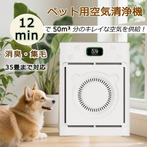 1000~C@ ybg̖ LΉ RpNg u 35Ή 4ʋz HepatB^[ YtB^[  EL ԕ΍  ybg[h Rt ԕ 