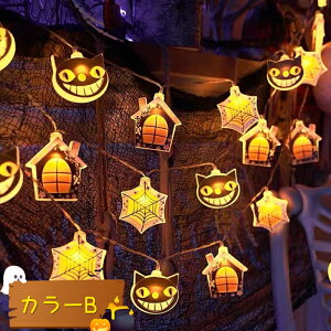 _Ԍ|Cg10{^y30color×3z2024NŐVI nEBLEDCg^ d   fR[V nEB[ dF  p[eB[d dr dr