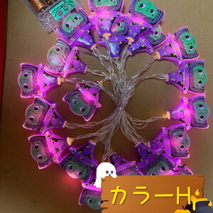 _Ԍ|Cg10{^y30color×3z2024NŐVI nEBLEDCg^ d   fR[V nEB[ dF  p[eB[d dr dr