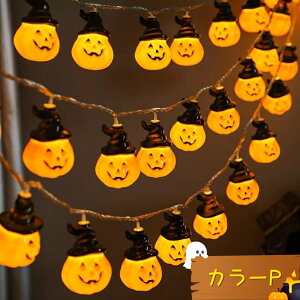 _Ԍ|Cg10{^y30color×3z2024NŐVI nEBLEDCg^ d   fR[V nEB[ dF  p[eB[d dr dr