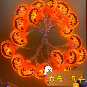 y10%OFFX[p[SALEzy30color×3z2024NŐVI nEBLEDCg^ d   fR[V nEB[ dF  p[eB[d dr drt