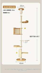 _Ԍ|Cg10{^yVR×˂莮z\ Lbg^[ ܂Ƃt {[nEXtbȃXy[X L̉^ Ή ݌vbӐݒuɍœK L