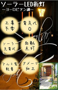 rOAEg(LivingOut)[sA\[[LEDXBKubN22cmx24cmx183cmx20~60[Xdʖ3kgXGRȃGldsv\[[p[