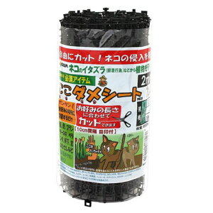 DAIM�����_���V�[�g30cmx2m���L�悯�L�����˂��悯�L�����L�悯�΍��L�悯�O�b�Y�˂��悯�V�[�g�L�����O�b�Y�L�悯�V�[�g�l�R�悯�˂��悯�O�b�Y��ǔL