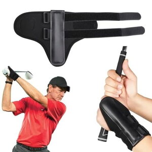 ZHEJIAStKStXCOK[jOŒoh⏕̐nTCY\ł̏hStXCOKŒjp