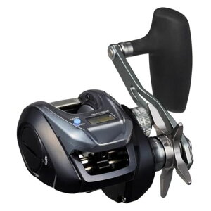 _C(DAIWA)RlNebhxCg[25TIERRA(eBG)IC300L-C