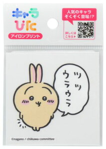 L҂ACvgV[g~j13(TCY65mmx65mm)CK-A-202307-mi13