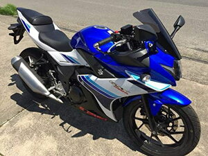 AN|Cg(ACRY-Point)XN[Xg[gX[NGSX250R17160221