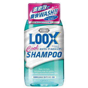 KURE(���H��)LOOX(���b�N�X)�N�[���V�����v�[600ml�����ԗp�V�����v�[1194