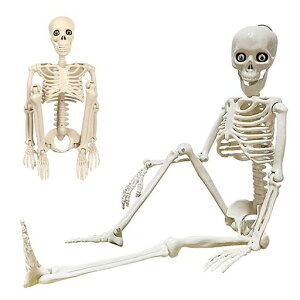 1ZbgnEB[40cm֐߉l̍i͌^XPg|~鐋|z[fR[V͋C_p[eB[X܉ƒpnEBObYu(40cm)