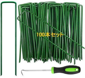 sasttie100{ZbglHŃshV[gŒssUsŐUBV[gsK[fjO_ƒp(15cmx3cmx15cm)