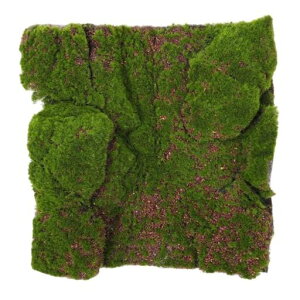 STOBAZAlHŃ[lHێŐlH̑ۃ}bgێ30x30cmlHŃV[g}bghV[gϋvxGh~Ԓ뉀Ex_EoRj[EE֓KpϗtA(O[)