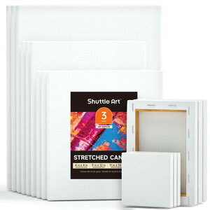 ShuttleArt�L�����o�X15���Z�b�g5�T�C�Y�����100%�T�C�Y���Ƃ�3���A�N������E���ʉ�E���G�挓�p���蒣��L�����o�X�h���R���[�W���`��C���X�g�q�����S�Җ�O�w�Z�G�拳��