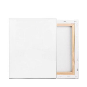 F32ZbgLoXLoXLoXcanvasGEANGɓKp(273mm*220mm*2)