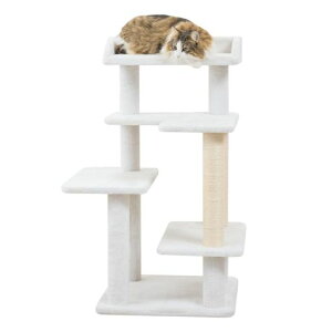 Mau�^���[�V�j�A�t�@�[�X�g