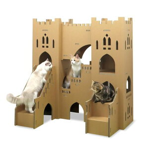 Lbg^[L^Lϋvi{[CeAꐘug{cCLbX